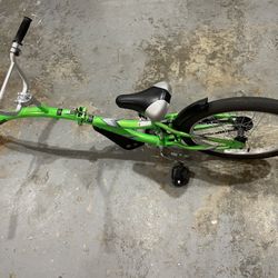 Co-Pilot Bike Trailer
