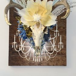 Skull Decor 
