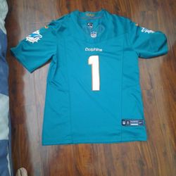 Miami DOLPHINS JERSEY. NICE