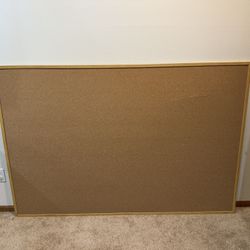 Large Cork Board