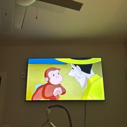 65 Inch Fire Smart Tv