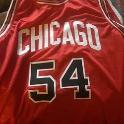 Horace Grant Signed Bulls Jersey And Certified