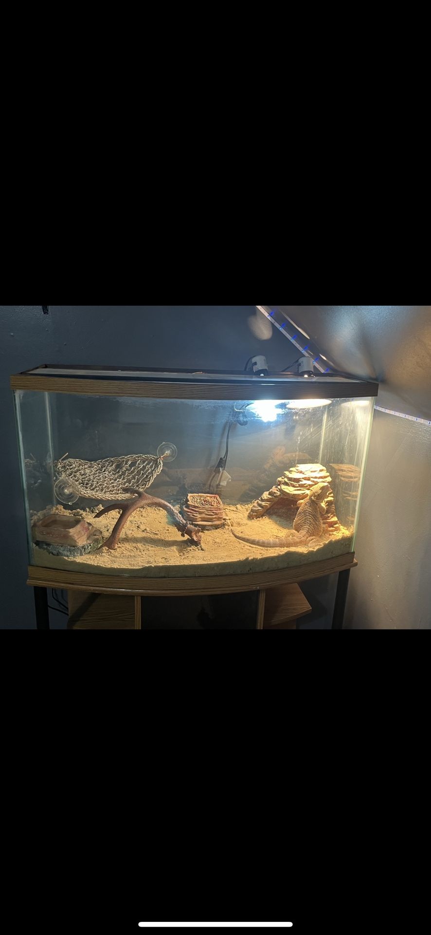 40 Gallon Fish Tank With Stand 