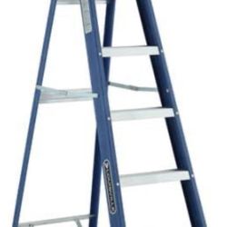 6ft Ladder - NEED GONE ASAP