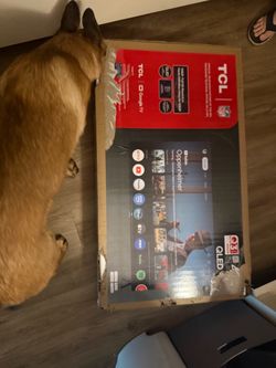 Flat screen tv