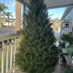 7ft Tree For Sale !!