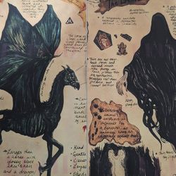 Harry Potter - Set Of 2 Posters Of The Thestral And The Dementor 16x24