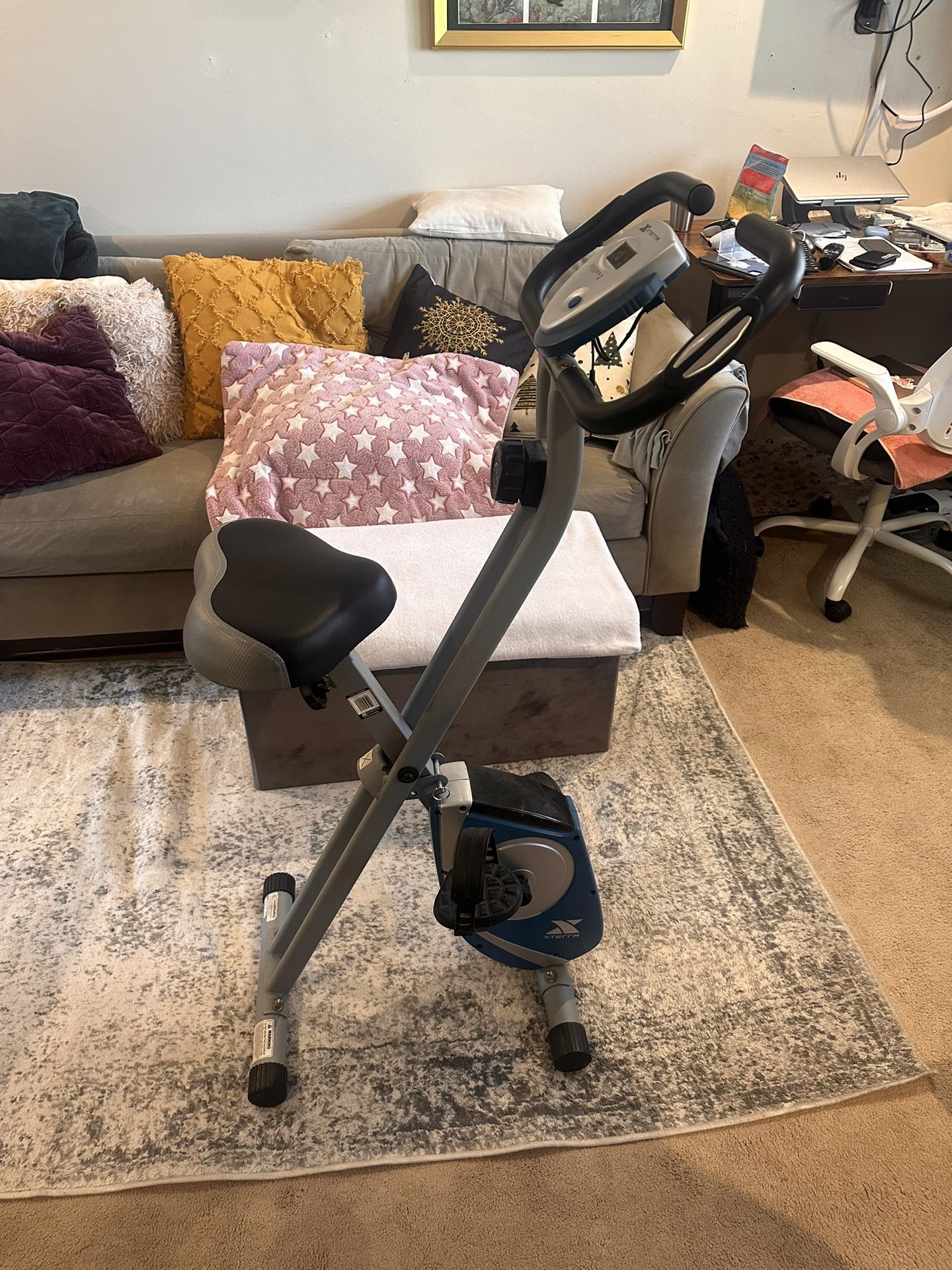 Xterra Stationary Exercise Bike