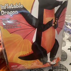 Dragon Costume 