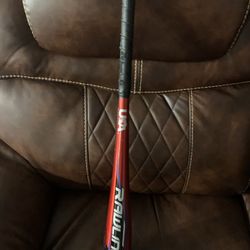 Baseball Bat 