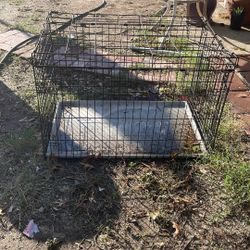 Dog Cage