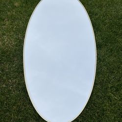 Oval Mirror 22x49.5 Very Heavy