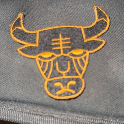 Chicago Bull Cloth Patch