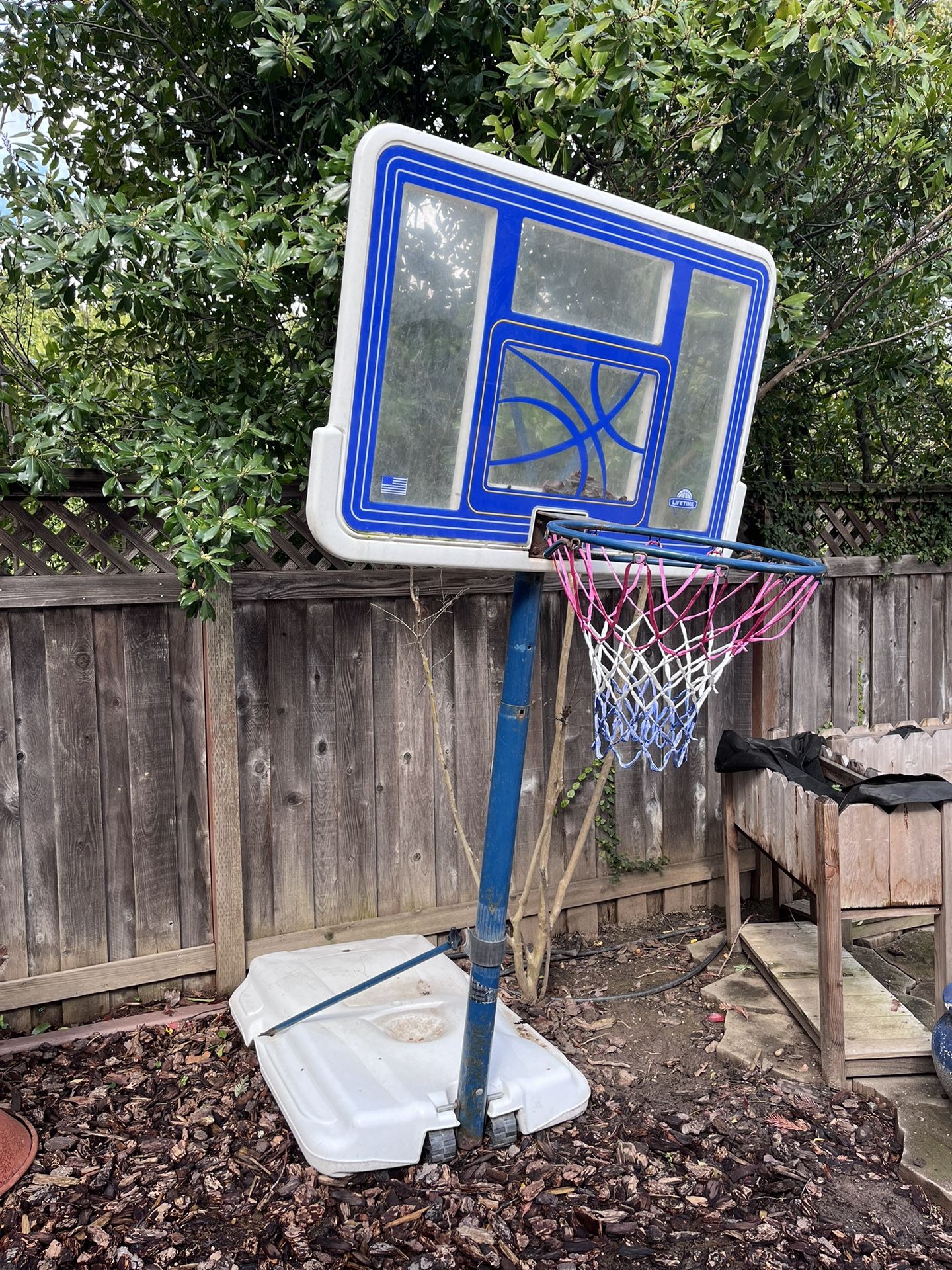 FREE Lifetime Poolside Adjustable Basketball Hoop