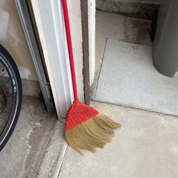 Asian Broom