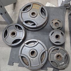 Olympic Weight Bench . 45lb Bar + 255lbs Of Plates.