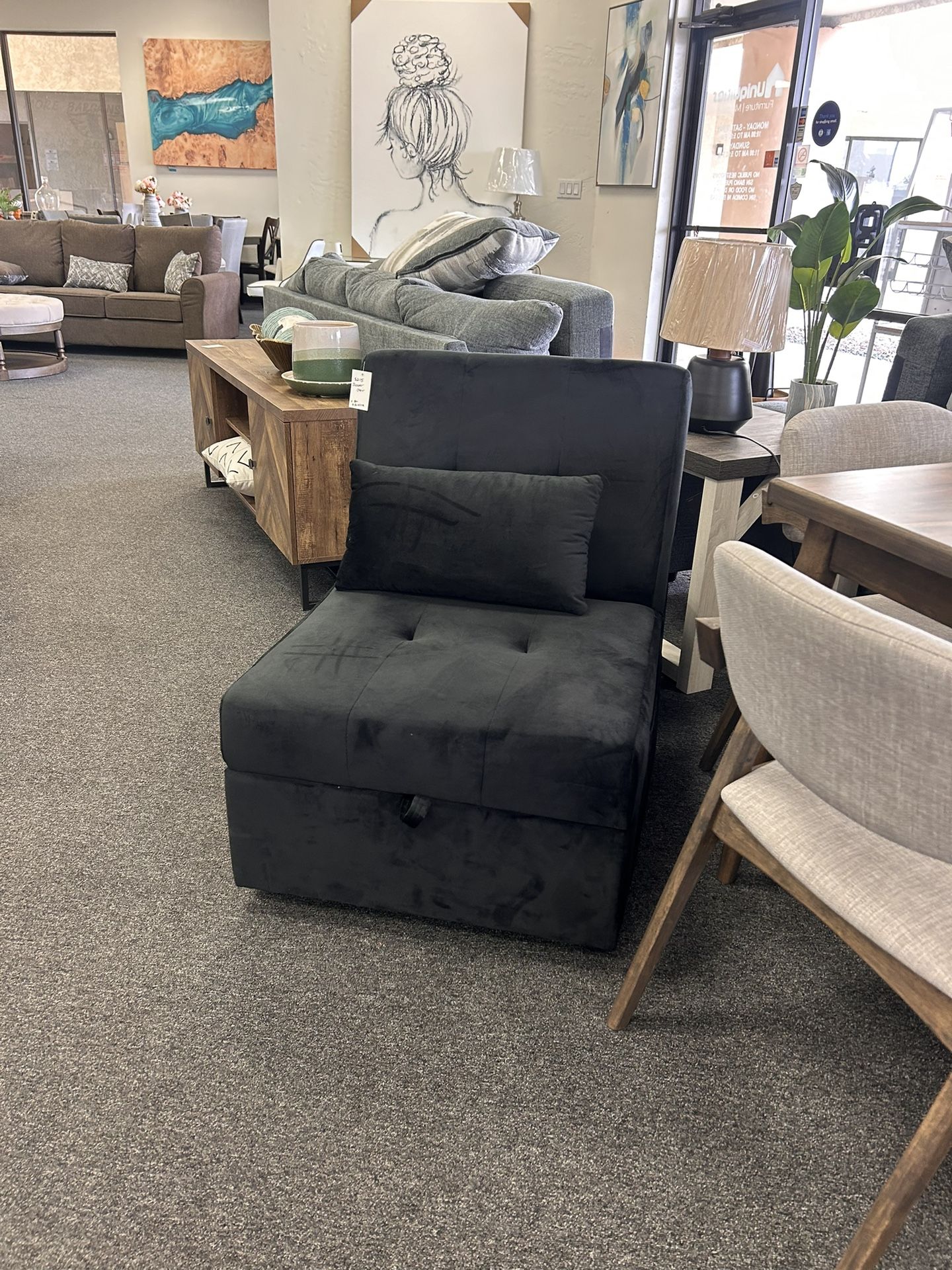 Twin Sleeper Chair