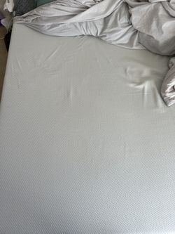 INUS 10 Inch Green Tea Queen Size Bed