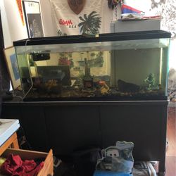 55 Gallon Aquarium 