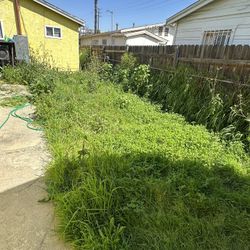 Jardinero