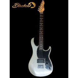 PEAVEY ELECTRIC GUITAR WITH CASE