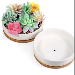 Binwen 6.3 inch round Ceramic White Large Succulent planters Indoor Succulents Pots with Drainage Bamboo Trays