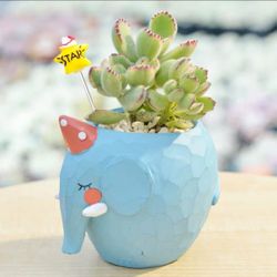 Flower pot, Resin Succulent Pot