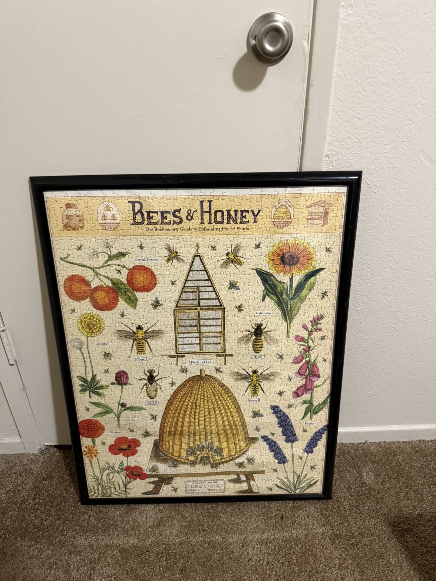 Framed Puzzles