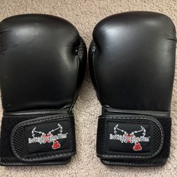 Century Brave Boxing Gloves for Men and Women | Training Gloves Equipment and Boxing Gear Ideal use for Martial Arts Kickboxing Muay Thai MMA Punching