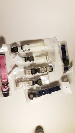 Assorted dog collars