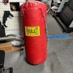 Everlast Punching Bag