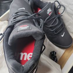 NIKE SB SUPREME DARWIN