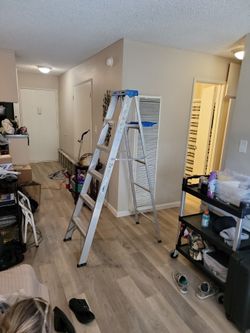 Ladder 🪜 Werner aluminum 6'