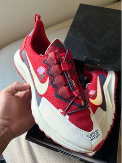 Nike zoom pegasus  Men’s sz.11