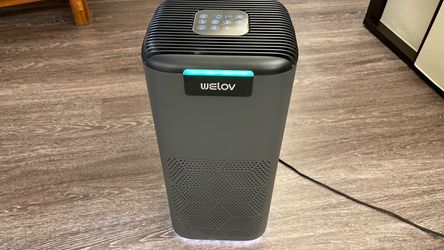 WELOV Matter P200 Pro Smart Air Purifier