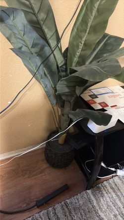 Fake plant