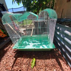 Bird cages
