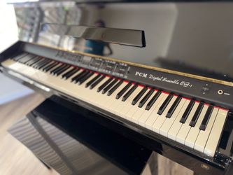 PCM Digital Ensemble EG-1 Digital Piano