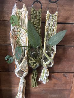 Handmade Mini Macrame With Glass Bottle, Choose Your Free Plant Cutting