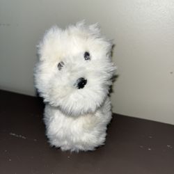 Vintage Coconut American Girl Doll from the Just Like You/My American Girl collection  Released in 2003, the Coconut doll is a retired American Girl d