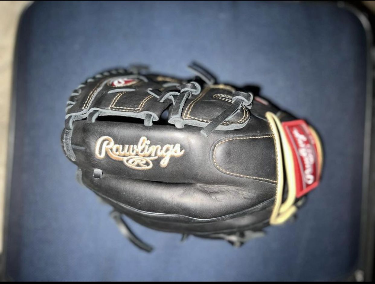 Rawlings GG Elite Baseball Glove