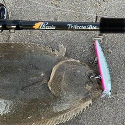 Phenix Fishing Rod Trifecta Lite 9-series for Spinning