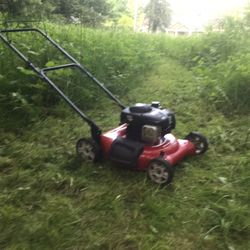 Lawn Mower