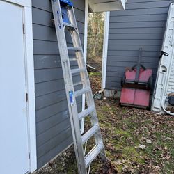 Werner step ladder