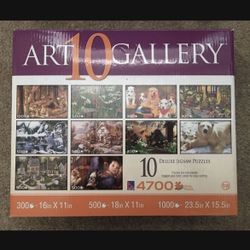 Art Gallery 10 Deluxe Jigsaw Puzzles (300, 500 & 1000 Piece) Box Set with 4700 Total Pieces *Brand New In Open Box* Each Puzzle Is Sealed In Plastic