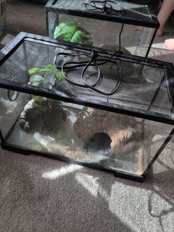 Snake/lizard habitat