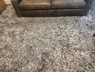 SHAG RUG 8 X 10 FEET...MUST GO REDUCED