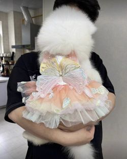 Halloween Dog Costume Lights Up It’s New Size Small 