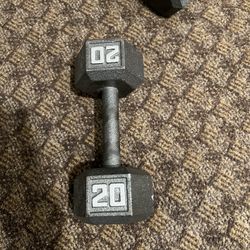 20 Lbs Dumbbells 