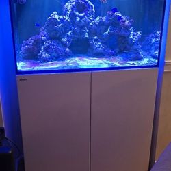 Red Sea Reefer 250